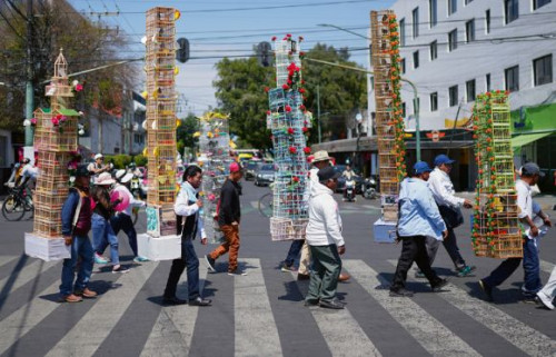 Một cuộc tụ họp đáng ngạc nhiên của những người bán chim