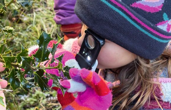 Điều tra: Nhiều loài thực vật ra hoa vào mùa đông