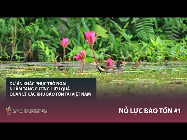 DA khắc phục trở ngại nhằm tăng cường hiệu quả quản lý các KBT tại Việt Nam